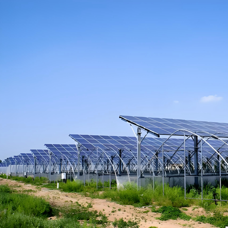 Kosztowo efektywne podłoże do montażu słonecznego zbudowane do realizacji projektów wielkoskalowych, niezawodność długotrwała