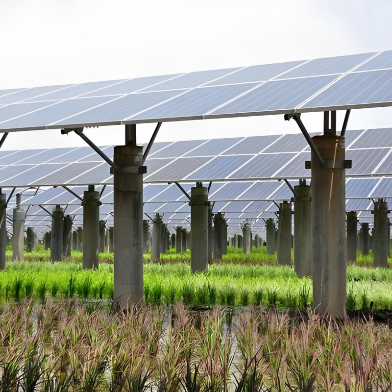 Heavy-Duty Solar Farm Ground Mount: Robust Support for Large Arrays, Engineered for Utility Scale