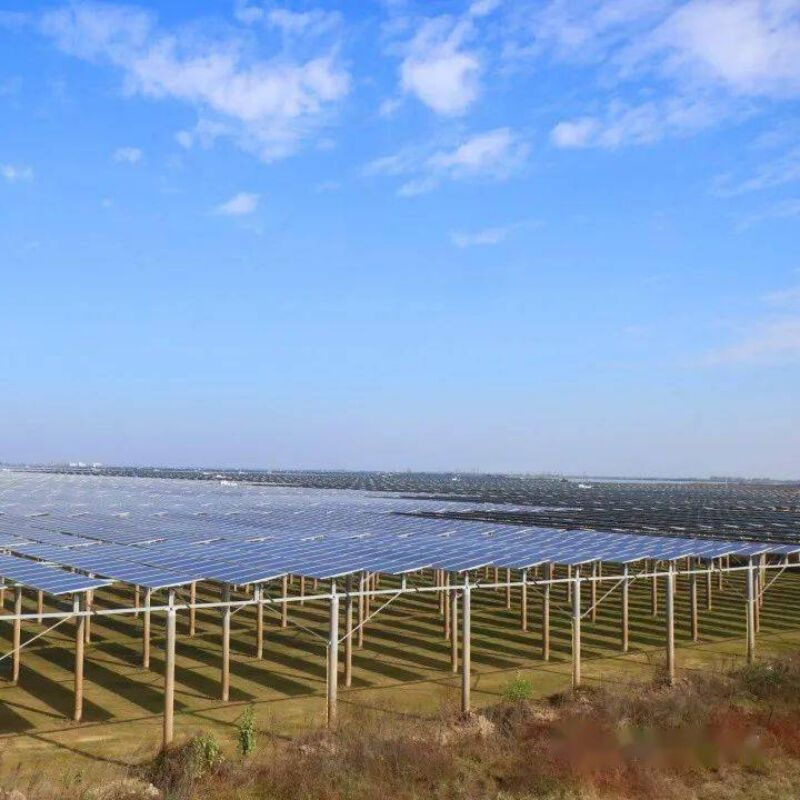 Uchwyty do montażu paneli słonecznych na gruncie zapewniające odporność na silny wiatr i obciążenia śniegiem, z unikalną konstrukcją pali i wstępnie zmontowanymi elementami